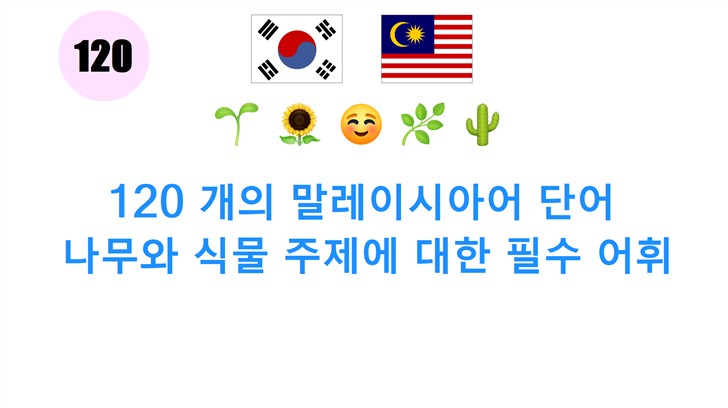 120 개의 말레이시아어 단어: 나무와 식물 주제에 대한 필수 어휘